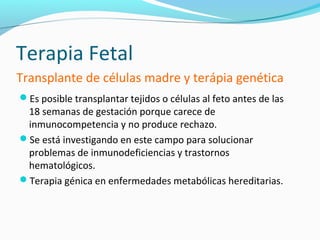 Terapia Fetal
Transplante de células madre y terápia genética
Es posible transplantar tejidos o células al feto antes de las
 18 semanas de gestación porque carece de
 inmunocompetencia y no produce rechazo.
Se está investigando en este campo para solucionar
 problemas de inmunodeficiencias y trastornos
 hematológicos.
Terapia génica en enfermedades metabólicas hereditarias.
 