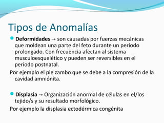 Tipos de Anomalías
Deformidades → son causadas por fuerzas mecánicas
  que moldean una parte del feto durante un período
  prolongado. Con frecuencia afectan al sistema
  musculoesquelético y pueden ser reversibles en el
  período postnatal.
Por ejemplo el pie zambo que se debe a la compresión de la
  cavidad amniónita.

Displasia → Organización anormal de células en el/los
  tejido/s y su resultado morfológico.
Por ejemplo la displasia ectodérmica congénita
 
