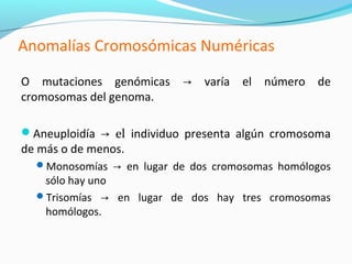 Anomalías Cromosómicas Numéricas

O mutaciones genómicas     → varía el número de
cromosomas del genoma.

Aneuploidía → el individuo presenta algún cromosoma
de más o de menos.
  Monosomías → en lugar de dos cromosomas homólogos
   sólo hay uno
  Trisomías → en lugar de dos hay tres cromosomas
   homólogos.
 