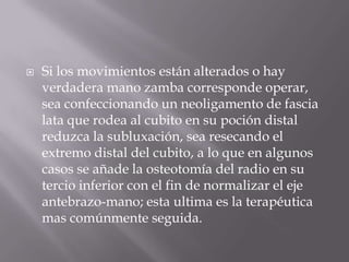    Si los movimientos están alterados o hay
    verdadera mano zamba corresponde operar,
    sea confeccionando un neoligamento de fascia
    lata que rodea al cubito en su poción distal
    reduzca la subluxación, sea resecando el
    extremo distal del cubito, a lo que en algunos
    casos se añade la osteotomía del radio en su
    tercio inferior con el fin de normalizar el eje
    antebrazo-mano; esta ultima es la terapéutica
    mas comúnmente seguida.
 