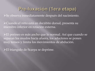 Se observa inmediatamente después del nacimiento.

Cuando el niño está en decúbito dorsal, presenta su
miembro inferior en rotación externa.

El perineo es más ancho que lo normal. Así que cuando se
separan los muslos hacia afuera, los aductores se ponen
muy tensos y limita los movimientos de abdución.

El triangulo de Scarpa se deprime.
 