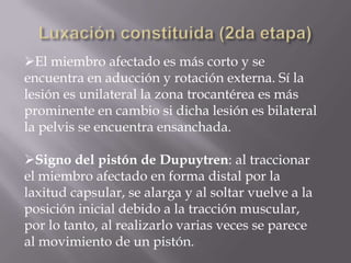 El miembro afectado es más corto y se
encuentra en aducción y rotación externa. Sí la
lesión es unilateral la zona trocantérea es más
prominente en cambio si dicha lesión es bilateral
la pelvis se encuentra ensanchada.

Signo del pistón de Dupuytren: al traccionar
el miembro afectado en forma distal por la
laxitud capsular, se alarga y al soltar vuelve a la
posición inicial debido a la tracción muscular,
por lo tanto, al realizarlo varias veces se parece
al movimiento de un pistón.
 