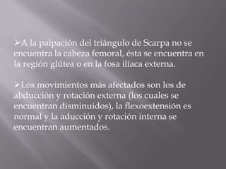 A la palpación del triángulo de Scarpa no se
encuentra la cabeza femoral, ésta se encuentra en
la región glútea o en la fosa ilíaca externa.

Los movimientos más afectados son los de
abducción y rotación externa (los cuales se
encuentran disminuidos), la flexoextensión es
normal y la aducción y rotación interna se
encuentran aumentados.
 