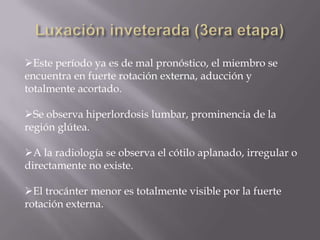 Este período ya es de mal pronóstico, el miembro se
encuentra en fuerte rotación externa, aducción y
totalmente acortado.

Se observa hiperlordosis lumbar, prominencia de la
región glútea.

A la radiología se observa el cótilo aplanado, irregular o
directamente no existe.

El trocánter menor es totalmente visible por la fuerte
rotación externa.
 