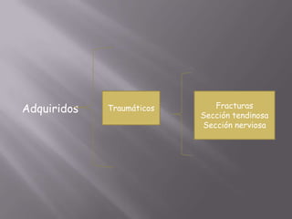 Adquiridos   Traumáticos      Fracturas
                           Sección tendinosa
                           Sección nerviosa
 