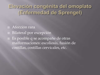    Afección rara
   Bilateral por excepción
   Es posible q se acompañe de otras
    malformaciones: escoliosis, fusión de
    costillas, costillas cervicales, etc.
 