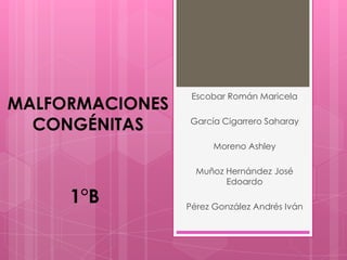 MALFORMACIONES
CONGÉNITAS

Escobar Román Maricela
García Cigarrero Saharay
Moreno Ashley

1°B

Muñoz Hernández José
Edoardo
Pérez González Andrés Iván

 