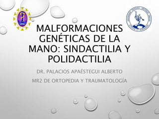 MALFORMACIONES
GENÉTICAS DE LA
MANO: SINDACTILIA Y
POLIDACTILIA
DR. PALACIOS APAÉSTEGUI ALBERTO
MR2 DE ORTOPEDIA Y TRAUMATOLOGÍA
 