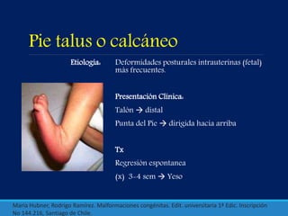 Pie talus o calcáneo
Etiología: Deformidades posturales intrauterinas (fetal)
más frecuentes.
Presentación Clínica:
Talón  distal
Punta del Pie  dirigida hacia arriba
Tx
Regresión espontanea
(x) 3-4 sem  Yeso
María Hubner, Rodrigo Ramírez. Malformaciones congénitas. Edit. universitaria 1ª Edic. Inscripción
No 144.216, Santiago de Chile.
 