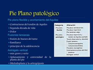 Pie Plano patológico
 Contracturas del tendón de Aquiles
 Segunda década de vida
 Dolor
 Fusión de huesos del tarso
 Familiares
 principio de la adolescencia
 más grave y serio
 Aplanamiento y convexidad de la
planta del pie
 Mielodisplasia y la artrogriposis
Pie plano flexible y acortamiento del Aquiles
Fusiones tarsianas
Astrágalo vertical
 