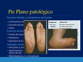 Pie Plano patológico
 Contracturas del tendón de Aquiles
 Segunda década de vida
 Dolor
 Fusión de huesos del tarso
 Familiares
 principio de la adolescencia
 más grave y serio
 Aplanamiento y convexidad de la
planta del pie
 Mielodisplasia y la artrogriposis
Pie plano flexible y acortamiento del Aquiles
Fusiones tarsianas
Astrágalo vertical
 