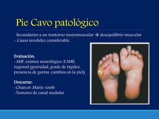 Pie Cavo patológico
-Secundarios a un trastorno neuromuscular  desequilibrio muscular
- Causa invalidez considerable.
Evaluación:
-AHF, eximen neurológico, E.SME,
regional (gravedad, grado de rigidez,
presencia de garras, cambios en la piel)
Descartar:
-Charcot-Marie-tooth
-Tumores de canal medular
 
