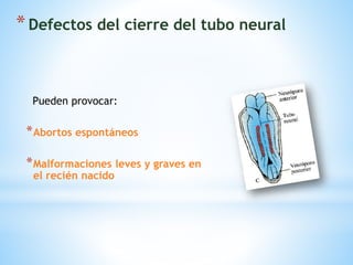 *Defectos del cierre del tubo neural
Pueden provocar:
*Abortos espontáneos
*Malformaciones leves y graves en
el recién nacido
 