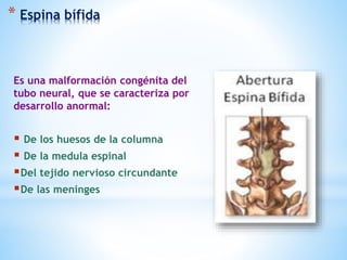 * Espina bífida
Es una malformación congénita del
tubo neural, que se caracteriza por
desarrollo anormal:
 De los huesos de la columna
 De la medula espinal
Del tejido nervioso circundante
De las meninges
 