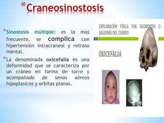 *Craneosinostosis
*Sinostosis múltiple: es la mas
frecuente, se complica con
hipertensión intracraneal y retraso
mental.
*La denominada oxicefalia es una
deformidad que se caracteriza por
un cráneo en forma de torre y
acompañado de senos aéreos
hipoplasicos y orbitas planas.
 