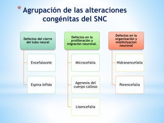 *Agrupación de las alteraciones
congénitas del SNC
Defectos del cierre
del tubo neural
Encefalocele
Espina bífida
Defectos en la
proliferación y
migración neuronal.
Microcefalia
Agenesia del
cuerpo calloso
Lisencefalia
Defectos en la
organización y
miellinizacion
neuronal
Hidranencefalia
Porencefalia
 