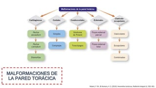 MALFORMACIONES DE
LA PARED TORÁCICA
Robert, P. M., & Romero, H. S. (2019). Anomalías torácicas. Pediatría Integral, 6, 292–301.
 