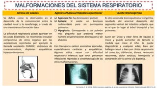 MALFORMACIONES DEL SISTEMA RESPIRATORIO
Atresia de Coanas Agenesia/Aplasia/Hipoplasia pulmonar Quiste Broncogénico
Se define como la obstrucción en el
desarrollo de la comunicación entre la
cavidad nasal y la nasofaringe; a través de
una membrana o formación ósea.
La dificultad respiratoria puede aparecer en
los casos bilaterales. Se recomienda estudiar
compromiso de otros órganos por las
asociaciones reportadas por ejemplo la
llamada asociación CHARGE, síndromes de
craneosinostosis, displasias esqueléticas
hipercondensantes.
 Agenesia: No hay bronquio ni pulmón
 Aplasia: Sí existe un bronquio
rudimentario pero sin parénquima
pulmonar.
 Hipoplasia: Corresponde a un pulmón
más pequeño que presenta menor
número de generaciones bronquiales y de
alvéolos
Con frecuencia existen anomalías asociadas,
especialmente cardíacas y esqueléticas.
Algunos niños nacen con dificultad
respiratoria mientras que otros presentan
infecciones repetidas o sintomatología de las
otras malformaciones.
Es otra anomalía broncopulmonar congénita,
resultado del anormal desarrollo del
segmento ventral del intestino anterior, que
es el que da lugar al árbol bronquial y los
pulmones.
Suele ser único y estar lleno de líquido o
moco y puede aumentar de tamaño a
medida que crece el niño. Se puede
diagnosticar a cualquier edad, bien por
hallazgo casual o bien por clínica respiratoria
tal como tos, sibilancias, disnea, neumonía
recurrente, dolor torácico, hemoptisis o
compresión de vía aérea y/o digestiva.
De Vicente, C. M. (2016). Malformaciones congénitas de las vías respiratorias inferiores. Pediatria Integral, 20(1), 51–61.
 