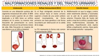 MALFORMACIONES RENALES Y DEL TRACTO URINARIO
Ureterocele Reflujo Vesicoureteral (RVU) Extrofia Vesical
Consiste en una dilatación quística del
segmento intravesical del uréter. El 80%
se asocia al polo superior de un riñón
duplicado y el 60% tiene un orificio
ectópico en la uretra. La manera más
frecuente de presentación es como
infección urinaria en los primeros meses
de vida. Más frecuente en mujeres de
raza blanca y en el 10% es bilateral.
Es el flujo retrógrado anormal de la
orina vesical hacia el tracto urinario
superior a través de una unión urétero
vesical incompetente, de forma
primaria con base genética o de forma
secundaria por obstrucción en la salida
de la vejiga.
La ITU representa la forma más común
de presentación (30%).
Malformación en que la vejiga y uretra
están totalmente abiertas y fusionadas
con la piel de la pared abdominal.
anterior. Presenta falta de fusión del
pubis a nivel de la sínfisis y puede haber
otras malformaciones asociadas de
genitales, imperforación anal, espina
bífida y duplicación uterina. Hace parte
del complejo extrofia – epispadias.
Barbancho, D. C., & Fraile, A. G. (2013). Anomalías congénitas del riñón y del tracto urinario. Anales de Pediatria Continuada, 11(6), 325–332.
 