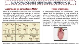 MALFORMACIONES GENITALES (FEMENINOS)
Ausencia de los conductos de Müller Himen imperforado
El himen imperforado tiene una frecuencia de 0.1, y se
traduce como un hidrocolpos en niñas pequeñas y
criptomenorrea en niñas púberes, el modo de aparición
es variable y la asociación de otras malformaciones es
rara. El diagnóstico del himen imperforado debe ser al
nacimiento, sin embargo no es frecuentemente
identificado; el diagnóstico temprano se realiza sólo
cuando hay producción excesiva del moco cervical que al
acumularse, se comporta como un hidrocolpos.
Derivan de un defecto en la formación, fusión o reabsorción
del tabique de los conductos de Müller en los diferentes
pasos del desarrollo embrionario, y constituyen una causa
poco común de problemas ginecológicos en adolescentes y
mujeres en edad fértil, manifestándose como amenorrea
primaria, infertilidad o complicaciones obstétricas
Medina S, C., Aguirre F, J., Montecinos G, J., & Schiappacasse F, G. (2015). Revisión pictográfica de las anomalías de los conductos de Müller por resonancia magnética. Revista Chilena de Obstetricia y Ginecología, 80(2), 181–190.
 