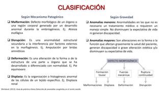 MinSalud. (2013). Guía de práctica clínica Detección de anomalías congénitas en el recién nacido
CLASIFICACIÓN
Según Mecanismo Patogénico
 Malformación: Defecto morfológico de un órgano o
una región corporal generado por un desarrollo
anormal durante la embriogénesis. Ej. Atresia
esofágica
 Disrupción: Es una anormalidad estructural
secundaria a la interferencia por factores externos
en la morfogénesis. Ej. Amputación por bridas
amnióticas
 Deformación: Es una alteración de la forma o de la
estructura de una parte u órgano que se ha
desarrollado o diferenciado con normalidad. Ej. Pie
equinovaro
 Displasia: Es la organización o histogénesis anormal
de las células de un tejido específico. Ej. Displasia
renal
Según Gravedad
 Anomalías menores: Anormalidades en las que no es
necesario un tratamiento médico o requieren un
manejo simple. No disminuyen la expectativa de vida
ni generan discapacidad.
 Anomalías mayores: Son alteraciones en la forma o la
función que afectan gravemente la salud del paciente,
generan discapacidad o grave alteración estética y/o
disminuyen su expectativa de vida.
 