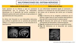 MALFORMACIONES DEL SISTEMA NERVIOSO
Malformación de Dandy Walker Malformación de Chiari
Suele aparecer en la infancia y que se caracteriza
principalmente por la presencia de hidrocefalia,
alteraciones en el desarrollo del vermix cerebeloso y
dilatación quística del cuarto ventrículo, lo que produce un
agrandamiento de la fosa posterior.
Su clínica más frecuente es una hidrocefalia obstructiva
que conlleva la aparición de un aumento del perímetro
cefálico y un occipucio prominente. Es más frecuente en el
sexo femenino.
Es una enfermedad hereditaria ligada al cromosoma x.
Consiste en la presencia de una fosa posterior en la base
del cráneo con el descenso del vermis por el foramen
magno
 Tipo I: Descenso de las amígdalas cerebelosas por el
foramen magno hacia el canal vertebral obstruyendo el
flujo del LCR y comprimiendo la médula espinal
 Tipo II: Descenso del vermis por el foramen magno
acompañado de hidrocefalia y mielomeningocele
 Tipo III: Encefalocele de la porción occipital del cráneo
 Tipo IV: Deficiencia en el desarrollo del cerebro
posterior
Servicio Andaluz de Salud. (2013). Anomalías Congénitas. In CIE-10.
 