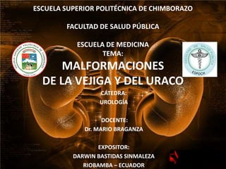 ESCUELA SUPERIOR POLITÉCNICA DE CHIMBORAZO
FACULTAD DE SALUD PÚBLICA
ESCUELA DE MEDICINA
TEMA:
MALFORMACIONES
DE LA VEJIGA Y DEL URACO
CÁTEDRA:
UROLOGÍA
DOCENTE:
Dr. MARIO BRAGANZA
EXPOSITOR:
DARWIN BASTIDAS SINMALEZA
RIOBAMBA – ECUADOR
 