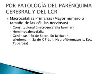  Macrocefalias Primarias (Mayor número o
tamaño de las células nerviosas)
◦ Constitucional (macroencefalia familiar)
◦ Hemimegalencefalia
◦ Genéticas ( Sx de Sotos, Sx Beckwith-
Wiedemann, Sx de X Frágil, Neurofibromatosis, Esc.
Tuberosa)
 