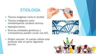 Factores De Riesgo:
 Diabetes materna
 Alcoholismo materno
 Exposición prenatal a ácido retinoico e inhibidores de la
s...