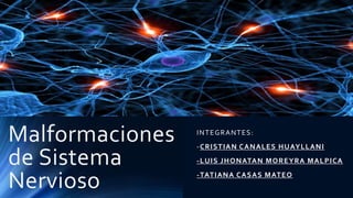 Malformaciones
de Sistema
Nervioso
INTEGRANTES:
-CRISTIAN CANALES HUAYLLANI
-LUIS JHONATAN MOREYRA MALPICA
-TATIANA CASAS MATEO
 