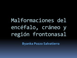 Malformaciones del
encéfalo, cráneo y
región frontonasal
   Byanka Pozzo Salvatierra
 