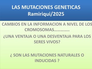 LAS MUTACIONES GENETICAS
Ramiriqui/2025
CAMBIOS EN LA INFORMACION A NIVEL DE LOS
CROMOSOMAS…………..
¿UNA VENTAJA O UNA DESVENTAJA PARA LOS
SERES VIVOS?
¿ SON LAS MUTACIONES NATURALES O
INDUCIDAS ?
 