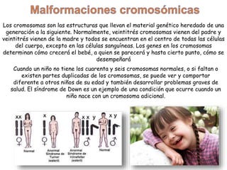 Los cromosomas son las estructuras que llevan el material genético heredado de una
generación a la siguiente. Normalmente, veintitrés cromosomas vienen del padre y
veintitrés vienen de la madre y todos se encuentran en el centro de todas las células
del cuerpo, excepto en las células sanguíneas. Los genes en los cromosomas
determinan cómo crecerá el bebé, a quien se parecerá y hasta cierto punto, cómo se
desempeñará
Cuando un niño no tiene los cuarenta y seis cromosomas normales, o si faltan o
existen partes duplicadas de los cromosomas, se puede ver y comportar
diferente a otros niños de su edad y también desarrollar problemas graves de
salud. El síndrome de Down es un ejemplo de una condición que ocurre cuando un
niño nace con un cromosoma adicional.
 