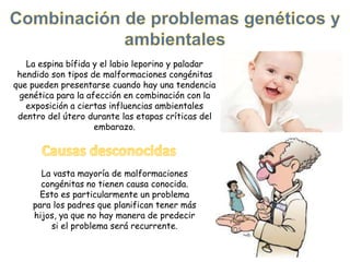 La espina bífida y el labio leporino y paladar
hendido son tipos de malformaciones congénitas
que pueden presentarse cuando hay una tendencia
genética para la afección en combinación con la
exposición a ciertas influencias ambientales
dentro del útero durante las etapas críticas del
embarazo.
La vasta mayoría de malformaciones
congénitas no tienen causa conocida.
Esto es particularmente un problema
para los padres que planifican tener más
hijos, ya que no hay manera de predecir
si el problema será recurrente.
 
