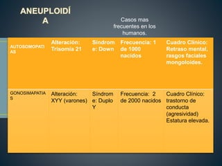 AUTOSOMOPATI
AS
Alteración:
Trisomía 21
Síndrom
e: Down
Frecuencia: 1
de 1000
nacidos
Cuadro Clínico:
Retraso mental,
rasgos faciales
mongoloides.
GONOSIMAPATIA
S
Alteración:
XYY (varones)
Síndrom
e: Duplo
Y
Frecuencia: 2
de 2000 nacidos
Cuadro Clínico:
trastorno de
conducta
(agresividad)
Estatura elevada.
Casos mas
frecuentes en los
humanos.
 