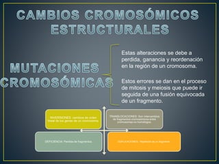 Estas alteraciones se debe a
perdida, ganancia y reordenación
en la región de un cromosoma.
Estos errores se dan en el proceso
de mitosis y meiosis que puede ir
seguida de una fusión equivocada
de un fragmento.
INVERSIONES: cambios de orden
lineal de los genes de un cromosoma.
TRANSLOCACIONES: Son intercambios
de fragmentos cromosómicos entre
cromosomas no homólogos.
DEFICIENCIA: Perdida de fragmentos. DUPLICACIONES: Repetición de un fragmento.
 