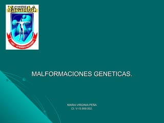 MALFORMACIONES GENETICAS.MALFORMACIONES GENETICAS.
MARIA VIRGINIA PEÑAMARIA VIRGINIA PEÑA
CI. V-15.959.502.CI. V-15.959.502.
 