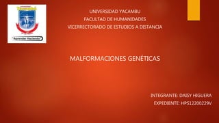 UNIVERSIDAD YACAMBU
FACULTAD DE HUMANIDADES
VICERRECTORADO DE ESTUDIOS A DISTANCIA
MALFORMACIONES GENÉTICAS
INTEGRANTE: DAISY HIGUERA
EXPEDIENTE: HPS12200229V
 
