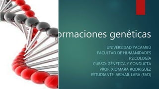 Malformaciones genéticas
UNIVERSIDAD YACAMBÚ
FACULTAD DE HUMANIDADES
PSICOLOGÍA
CURSO: GÉNETICA Y CONDUCTA
PROF. XIOMARA RODRIGUEZ
ESTUDIANTE: ABIHAIL LARA (EAD)
 