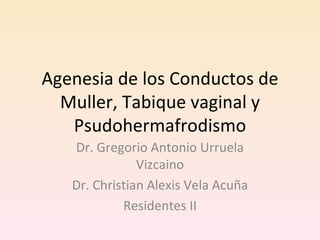Agenesia de los Conductos de Muller, Tabique vaginal y Psudohermafrodismo Dr. Gregorio Antonio Urruela Vizcaino Dr. Christian Alexis Vela Acuña Residentes II 
