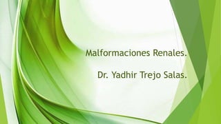 Malformaciones Renales.
Dr. Yadhir Trejo Salas.
 