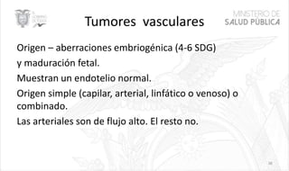 Tumores vasculares
Origen – aberraciones embriogénica (4-6 SDG)
y maduración fetal.
Muestran un endotelio normal.
Origen simple (capilar, arterial, linfático o venoso) o
combinado.
Las arteriales son de flujo alto. El resto no.
38
 