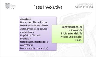 Fase Involutiva
8
Apoptosis
Reemplazo fibroadiposo
Vasodilatación del lúmen,
Aplanamiento de células
endoteliales
Depósitos fibrosos
Proliferan
fibroblastos, mastocitos y
macrófagos
(comunicación paracrina)
Interferon B, rol en
la involución
Inicia antes del año
y tiene un pico a los
2 años
 