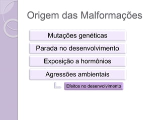 Origem das Malformações
Mutações genéticas
Parada no desenvolvimento
Exposição a hormônios
Agressões ambientais
Efeitos no desenvolvimento
 