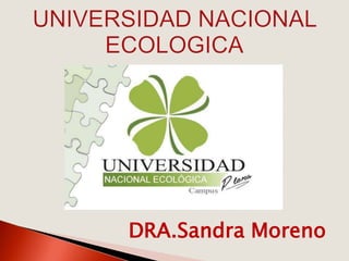 DRA.Sandra Moreno
 