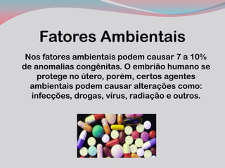 Fatores Ambientais 
Nos fatores ambientais podem causar 7 a 10% de anomalias congênitas. O embrião humano se protege no útero, porém, certos agentes ambientais podem causar alterações como: infecções, drogas, vírus, radiação e outros. 
 