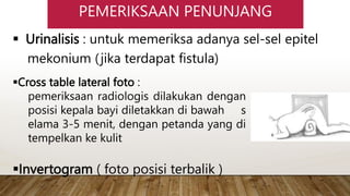 malformasi anorectal bedah anak.pptx