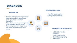 DIAGNOSIS
ANAMNESIS
• USG abdomen dan
panggul
• Foto X-Ray lateral
• Distal Colostography
• MRI pelvis.
• Bayi baru lahir gagal buang air besar
dalam waktu 24 jam setelah lahir
(yaitu, gagal mengeluarkan
mekonium
• Tidak ditemukan anus, kemungkinan
juga ditemukan adanya fistula.
• Terkadang mekonium dapat keluar
dari fistula di perineum atau dari
uretra.
-Inspeksi lubang anus
-Dilanjutkan urinalisa
PEMERIKSAAN FISIK
PEMERIKSAAN PENUNJANG
 