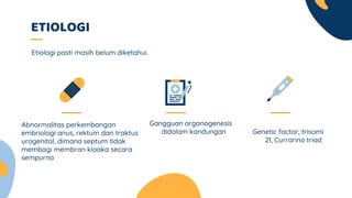 ETIOLOGI
Gangguan organogenesis
didalam kandungan Genetic factor; trisomi
21, Currarino triad
Etiologi pasti masih belum diketahui.
Abnormalitas perkembangan
embriologi anus, rektum dan traktus
urogenital, dimana septum tidak
membagi membran kloaka secara
sempurna
 