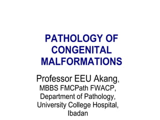 PATHOLOGY OF
CONGENITAL
MALFORMATIONS
Professor EEU Akang,
MBBS FMCPath FWACP,
Department of Pathology,
University College Hospital,
Ibadan

 